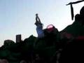 Lief festival 2008