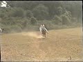 Mela Naiza Bazi part 0