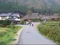 散步美山村、田園作畫趣