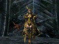 Archlord Mage