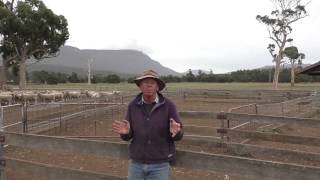 Welcome to Colvin’s farm