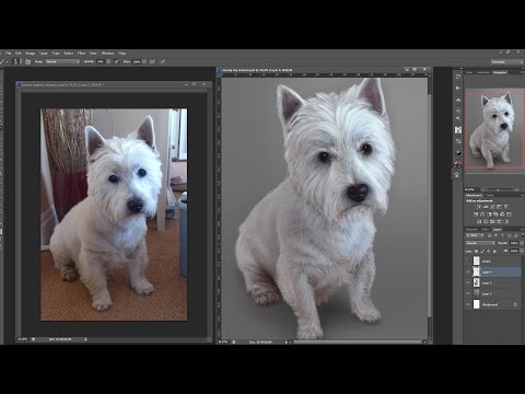 how to draw white fur