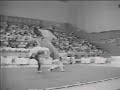 Wushu Sampler video clips awsome!