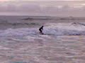 surfing at clyde st