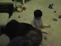 Marcus plays with Peyote