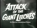 Quiet Please, Attacking Leeches