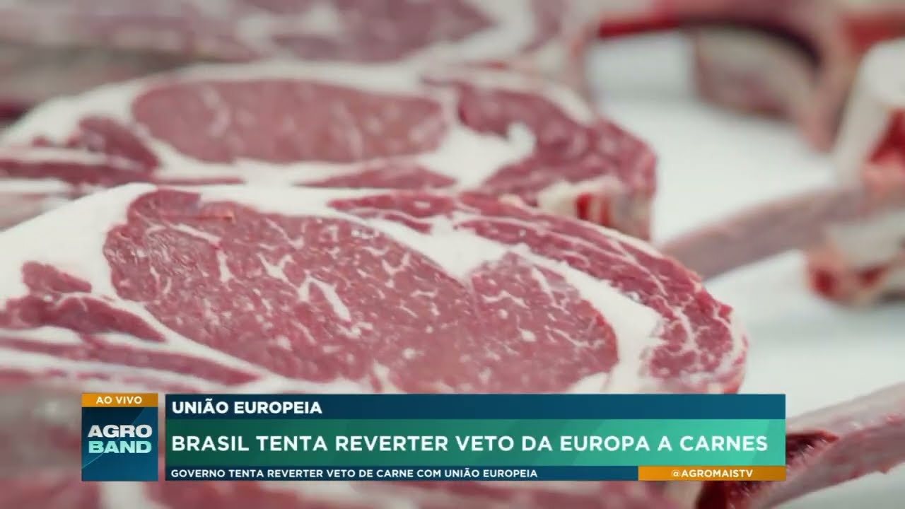 UE proíbe importação de carne brasileira