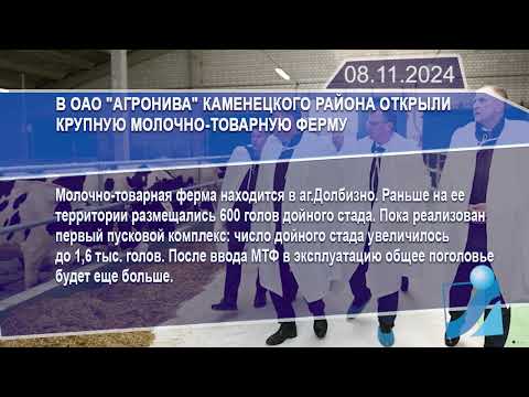 Новостная лента Телеканала Интекс 08.11.24.