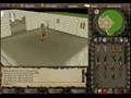 skillcapes all 99 capes