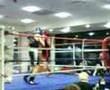 jake mould boxing