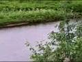 Feb 07 2007 - VID00017
