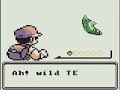 Pokemon Bootleg Green Ep. 2 Pt. 2