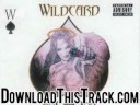 wildcard - Dark Night Of The Soul - Dark Night Of The Soul