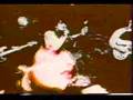 Siouxie and the banshees [Hong Kong Garden]