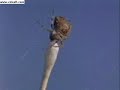 A very funny documentary on spiders and drugs...