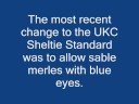Shelties in the United Kennel Club (UKC) Shelties in the United Kennel Club (UKC)