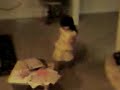 my littler sister dancing