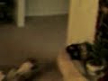my littler sister dancing