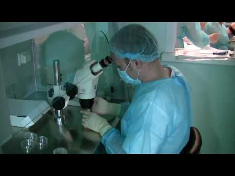 Видео: Центр репродуктивной медицины в Омске