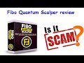 Fibo Quantum Scalper Review-Forex Indicator Scam Or Legit?