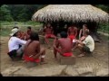 National Geographic Wild Chronicles Amazon Streiker