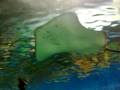 ocean-park-part4