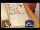 Victoria Hotel - BestWesternCarltonPlazaHotel.com