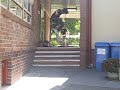 Broz kickflip 5 stair Broz kickflip 5 stair