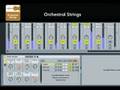 Orchestral-Instrumen