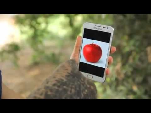 فيل يستخدم سامسونغ جالكسي نوت Galaxy Note فيل يستخدم سامسونغ جالكسي نوت Galaxy Note