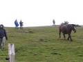 videos de Tria de Mulats - Espinavell 2006-2, culTOURa