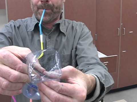 sciencetoymaker - Aside from the shear fun of it, making the Robot Voice 10 Cent Talk Box reveals how we turn raw sound from our vocal folds into speech. IMPORTANT UPDATE: usi...
