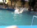 videos de el massi