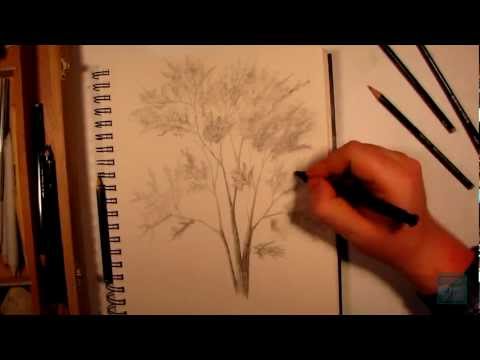 video-linktoworks-How to Draw a Realistic Tree - YouTube