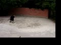 Flying Lessons