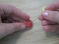 Use UV curing resin, polymer clay, and Amazing Mold Putty to create cool jewelry.