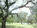 Audubon Park Loop