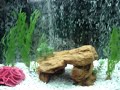 55 GALLON AQUARIUM STAND HAND BUILT AT HOME VIDEO (1)