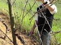 In the Vineyard