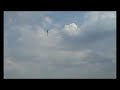 Freestyle Pabianice 2008 d_adam T-rex 600 Nitro SPro