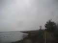 035.AVI