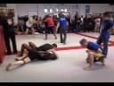 Wouter2.mp4