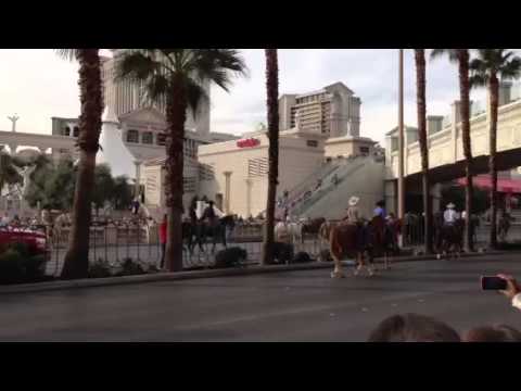 horses grand national