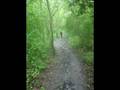 Battle of Colchester video