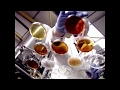 Shell CTO Gerald Schotman: innovating in partnership