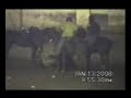 Toros Coleados