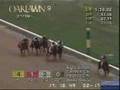 Horse Racing-It's My Life