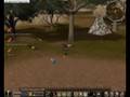 videos de METIN2 xD