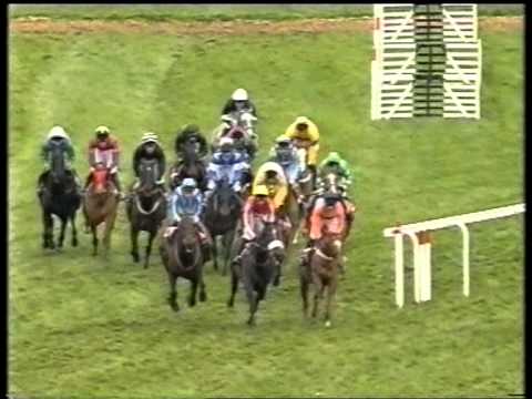 paddy power cheltenham