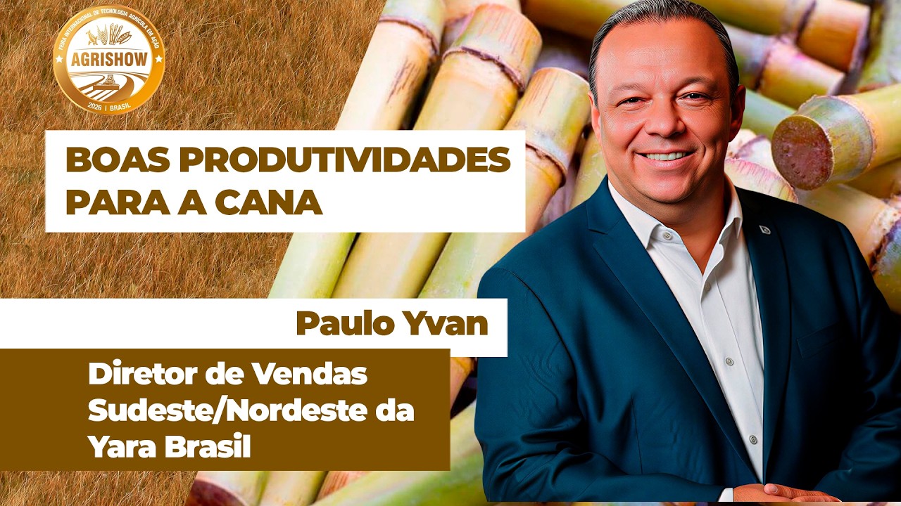 Colheita da nova safra de cana-de-açúcar começa com boas expectativas de produtividade